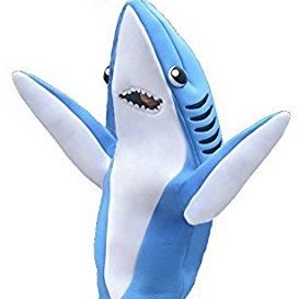 Fundraising Page: Jason Petrossi